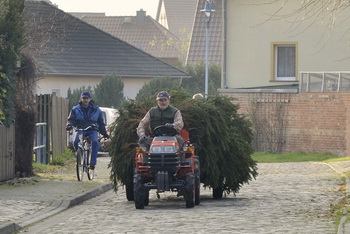 Weihnachtsbaum Elbenau, Transport