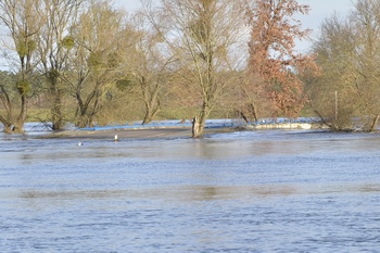 Haberlandbrücke bei Hochwasser