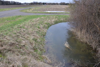 Elbenauer Landgraben mit viel Wasser