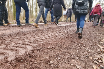 Elbenauer Grünkohlwanderung, Wanderung durch den Wald